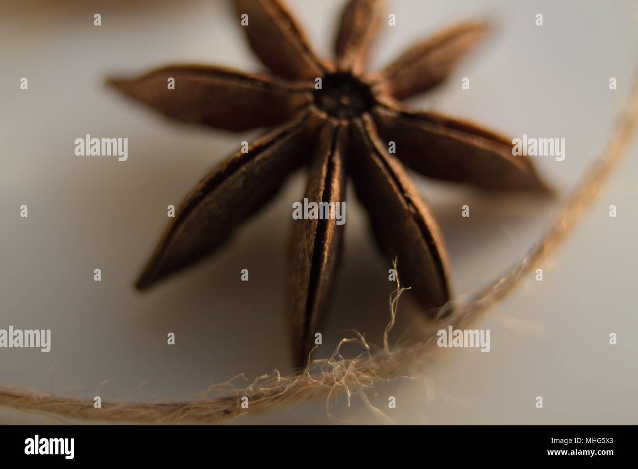 anise tree seeds as spices on a white background Stock Photo - Alamy
