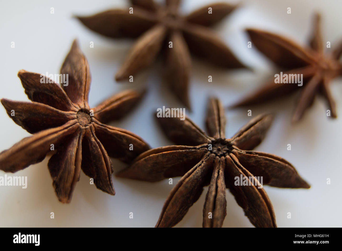 anise tree seeds as spices on a white background Stock Photo Alamy