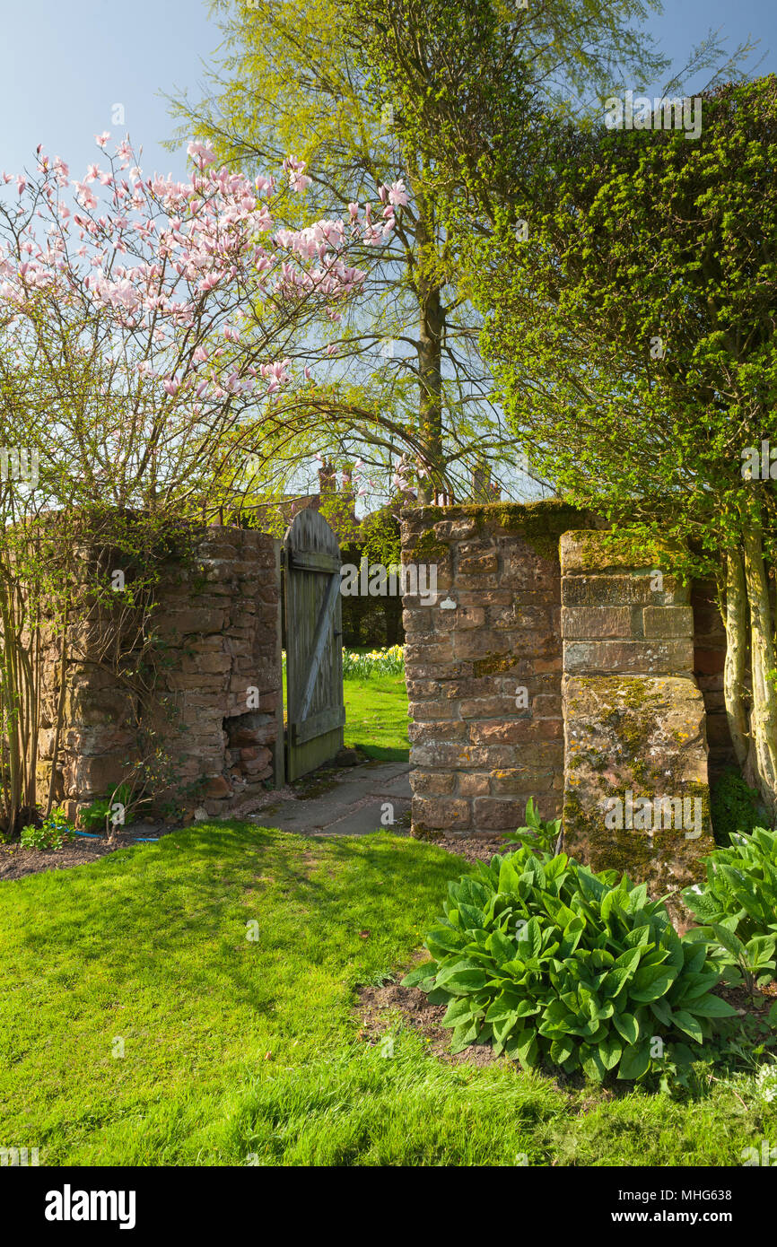Felley Priory Gardens, Felley Priory, Underwood, Nottinghamshire, UK. Spring, April 2018. Stock Photo