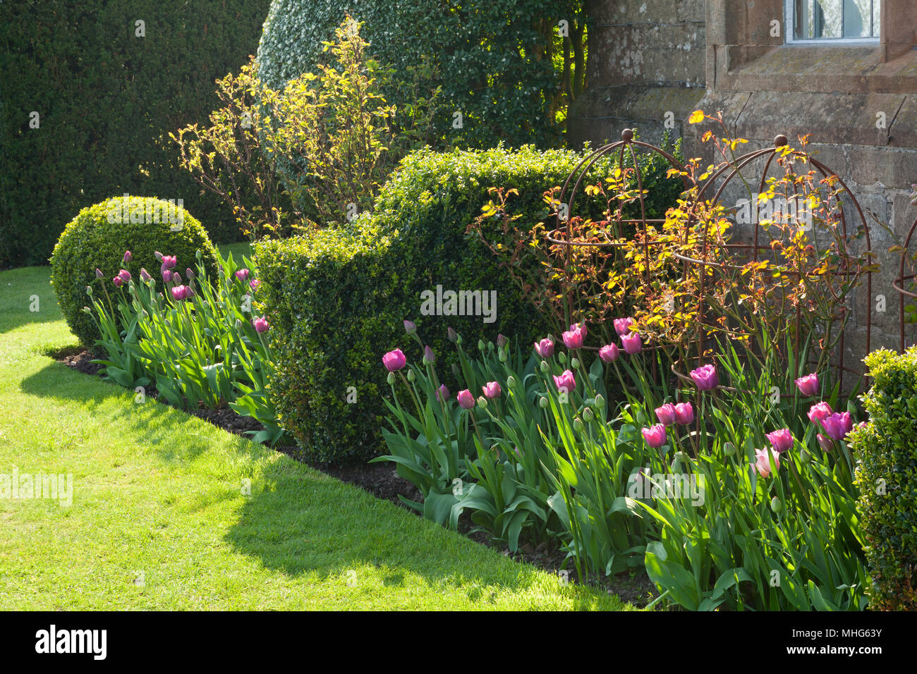 Felley Priory Gardens, Felley Priory, Underwood, Nottinghamshire, UK. Spring, April 2018. Stock Photo