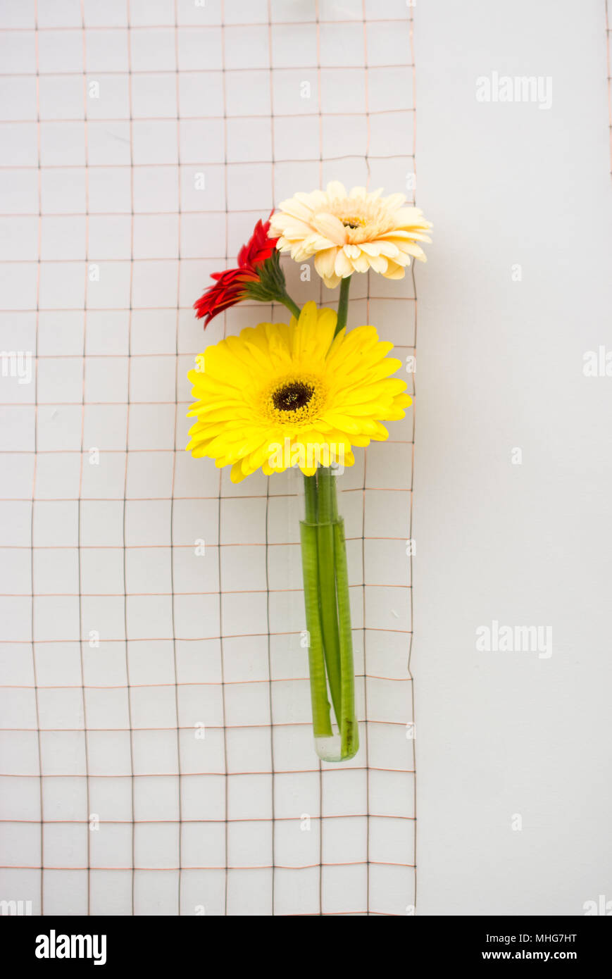 Horticultural netting hires stock photography and images Alamy