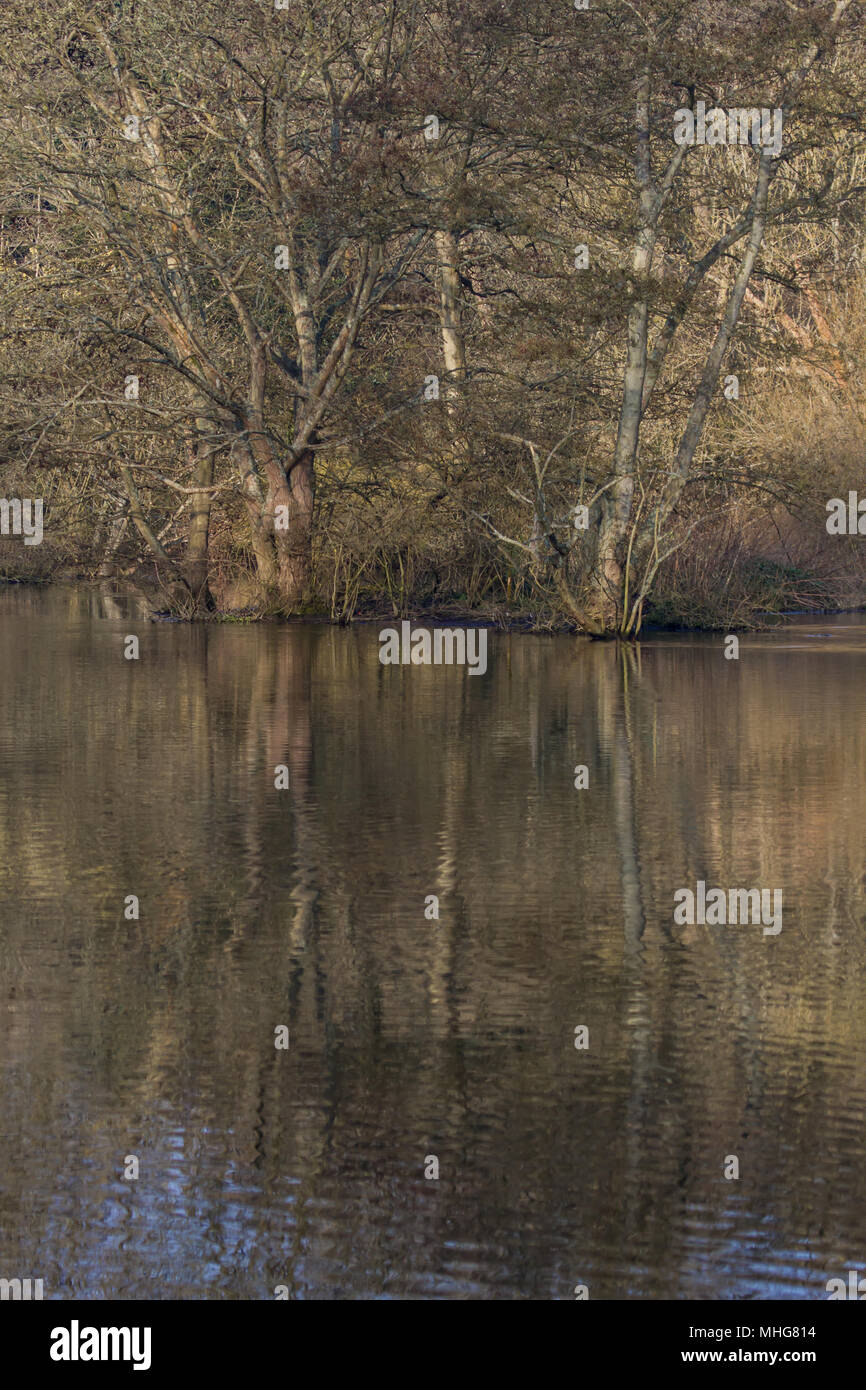 Landscape photo trees with reflections in the still water on an Autumn ...