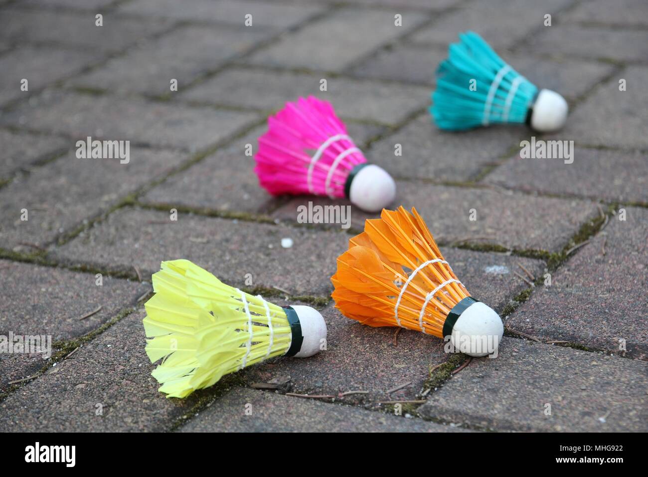 Colorful Feather Badminton Shuttlecocks Stock Photo