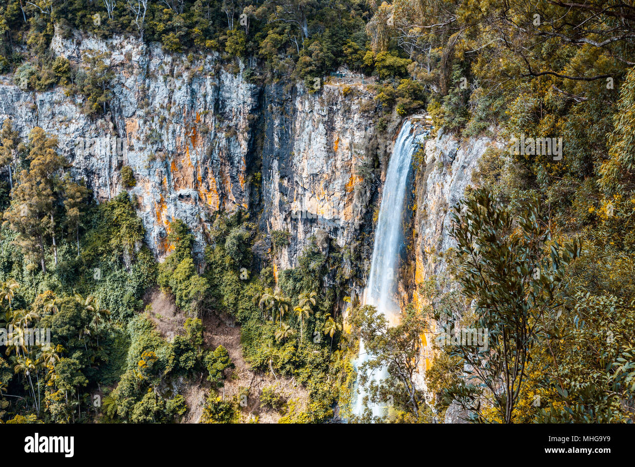 Beautiful tall waterfall Rainbow Falls. Springbrook National Park