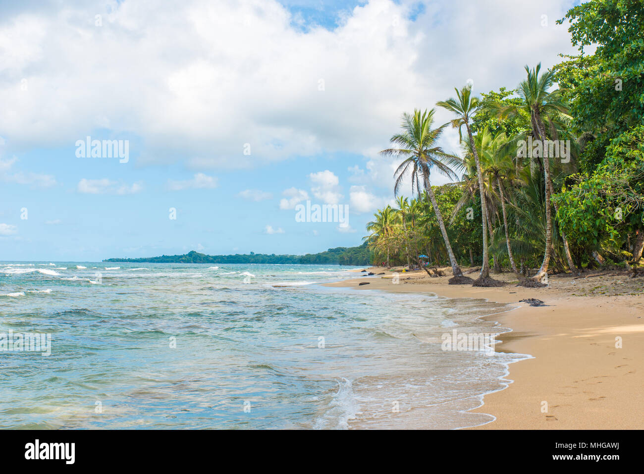 Playa Cocles Beautiful Tropical Beach Close To Puerto