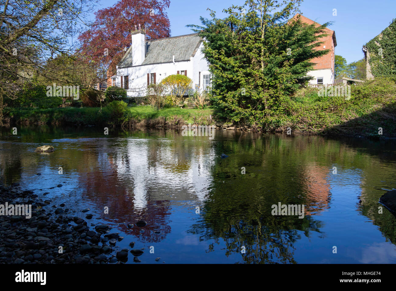 White cottage reflecting on The River Skell, North Yorkshire, England ...