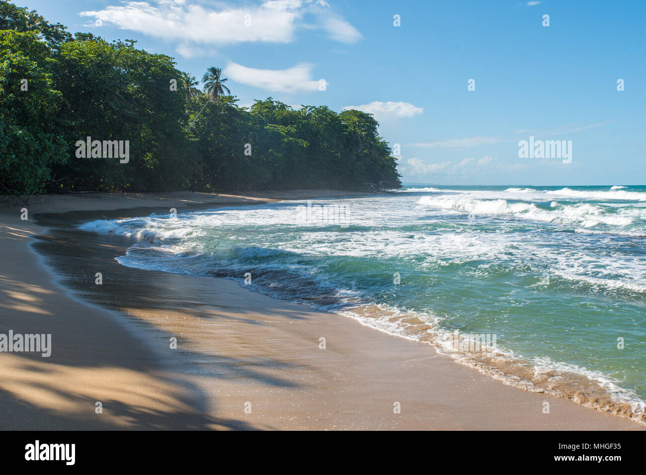 Punta Uva beach in Costa Rica, wild and beautiful caribbean coast Stock Photo