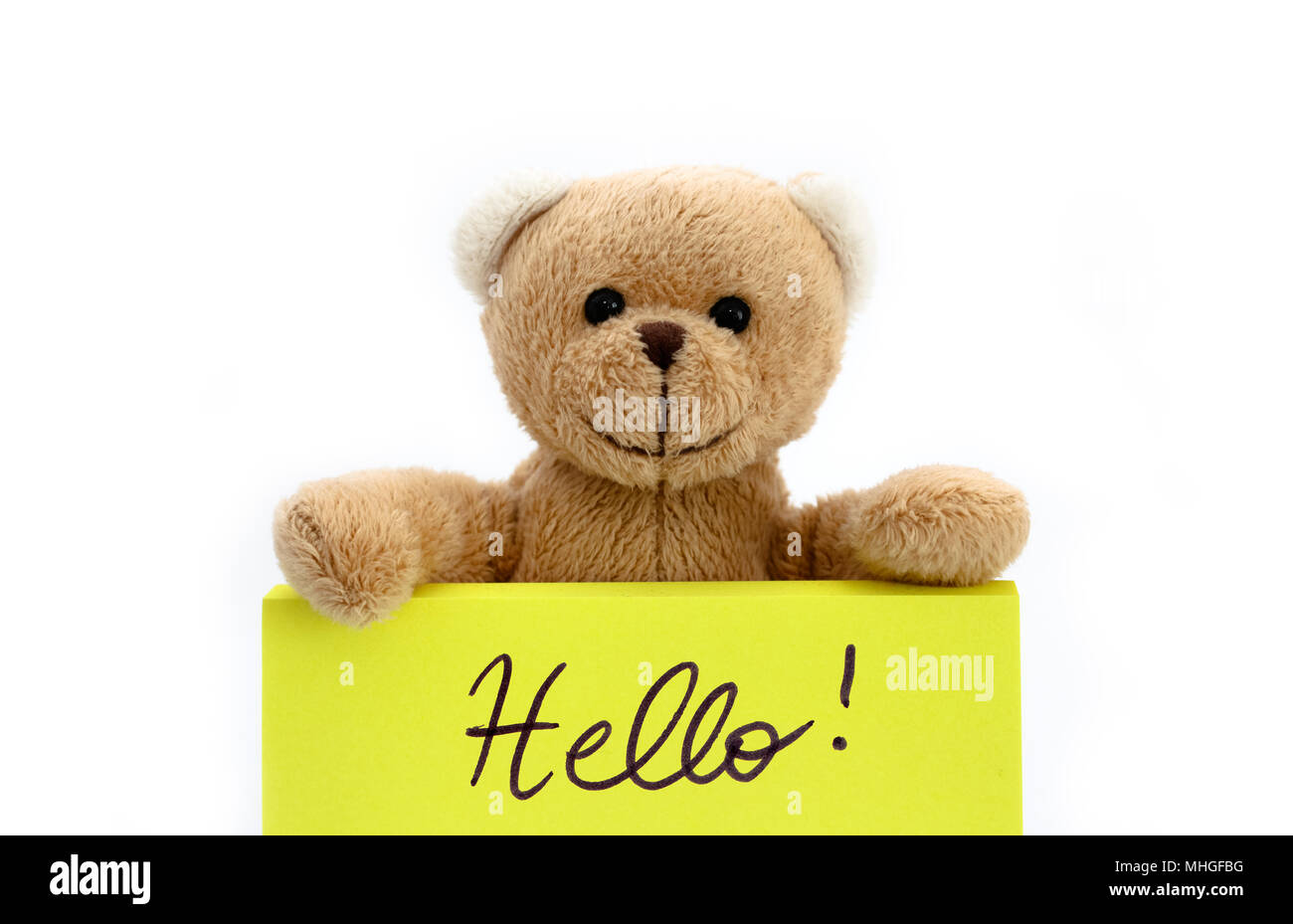 hello teddy bear