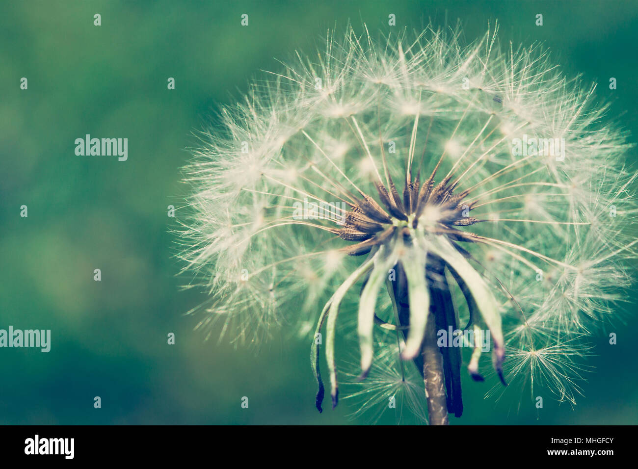 Cross Process Wallpaper