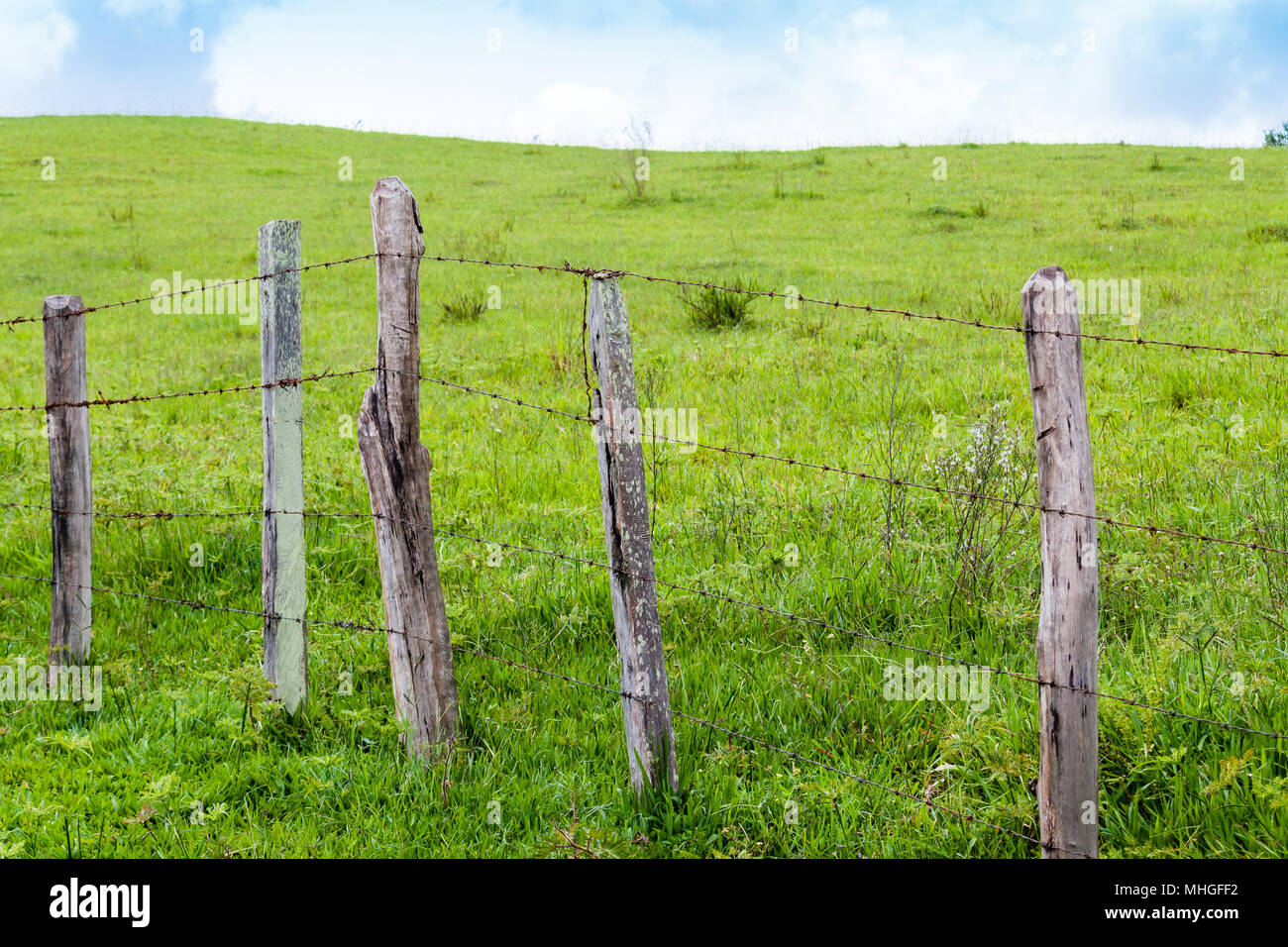 Old wooden fence with barbed wire on a green meadow in a farm ...