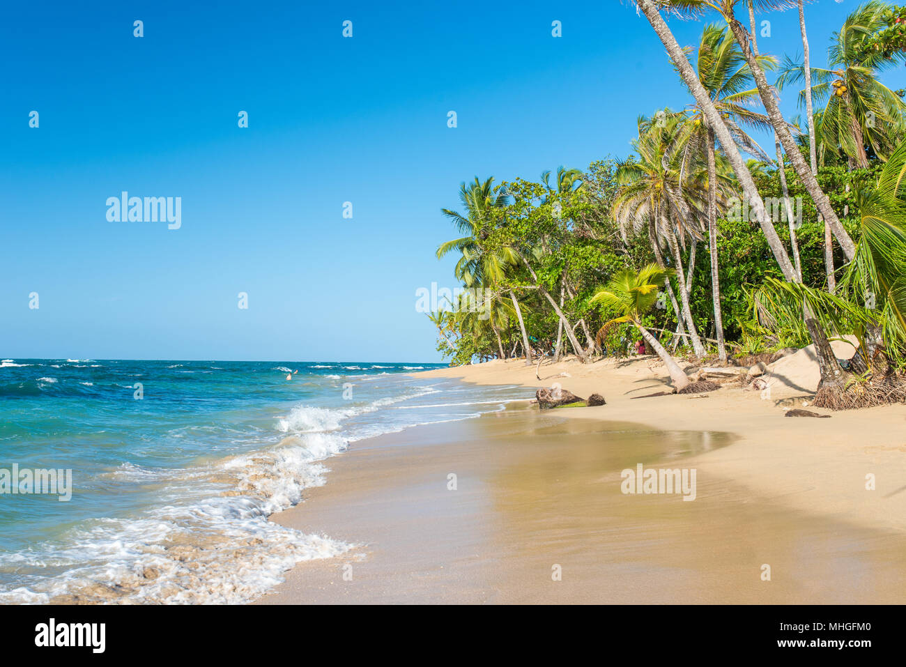 Punta Uva beach in Costa Rica, wild and beautiful caribbean coast Stock Photo