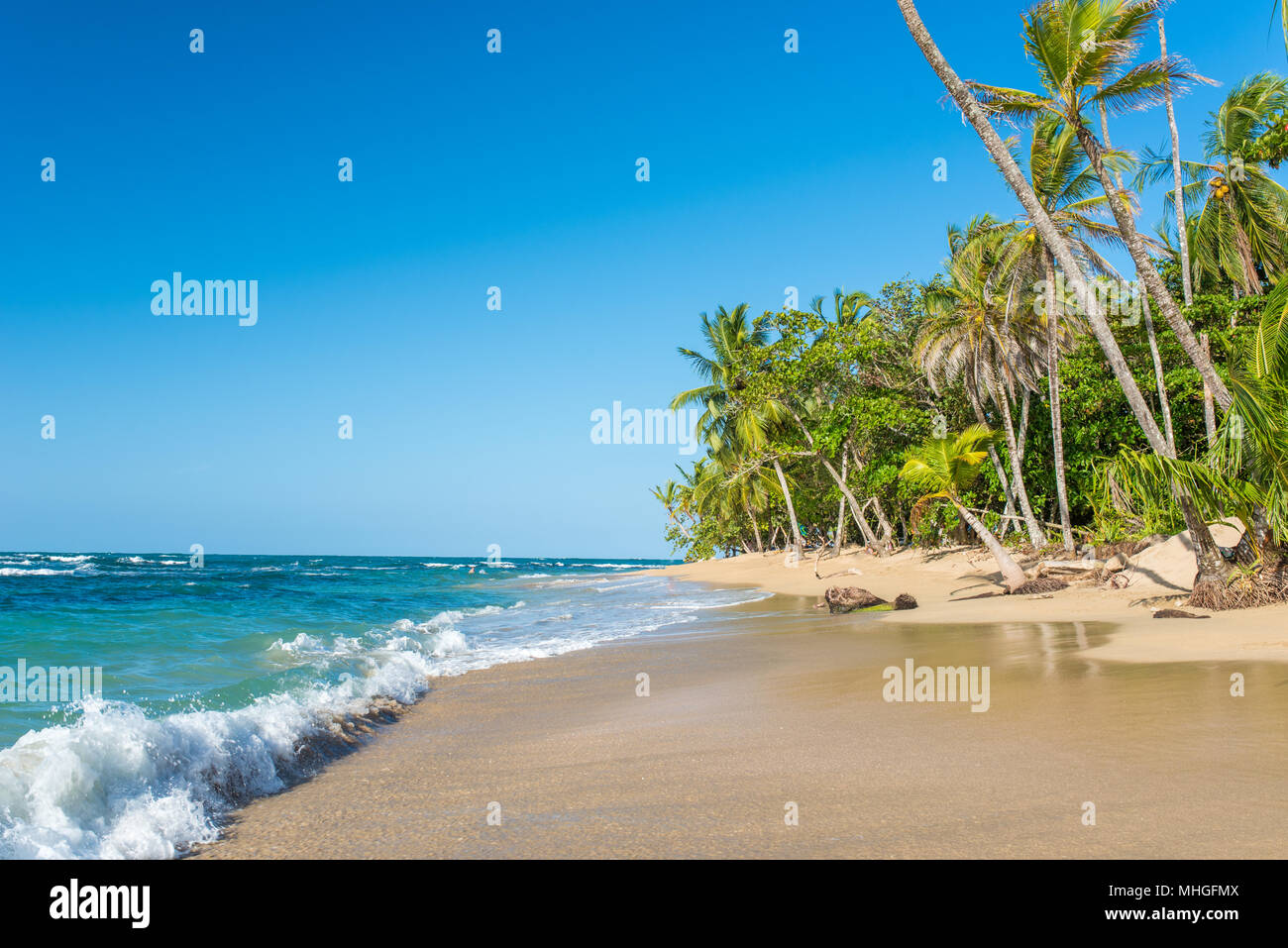 Punta Uva beach in Costa Rica, wild and beautiful caribbean coast Stock Photo