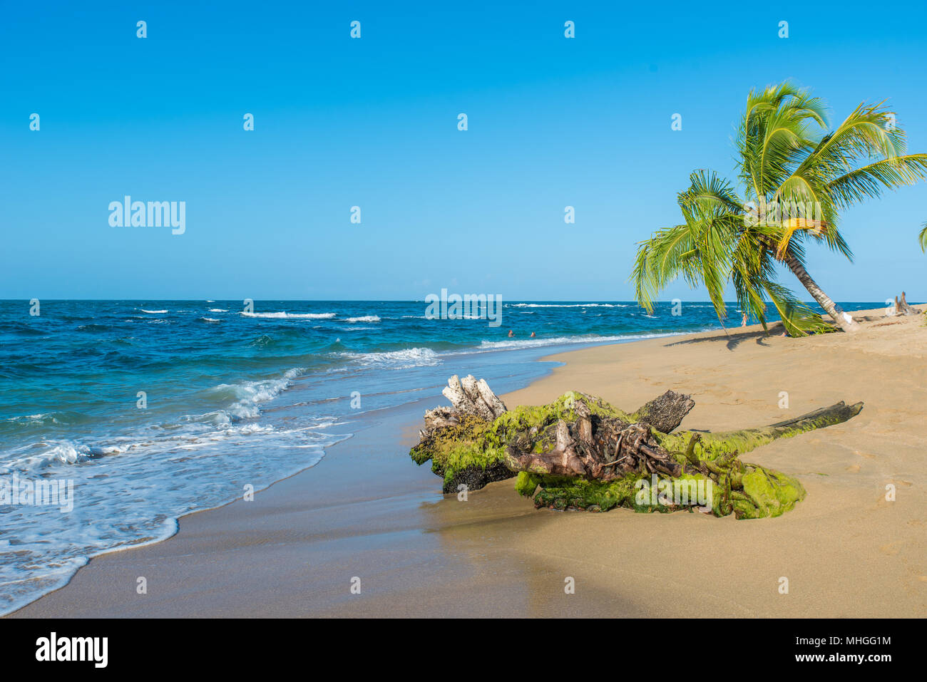 Punta Uva beach in Costa Rica, wild and beautiful caribbean coast Stock Photo