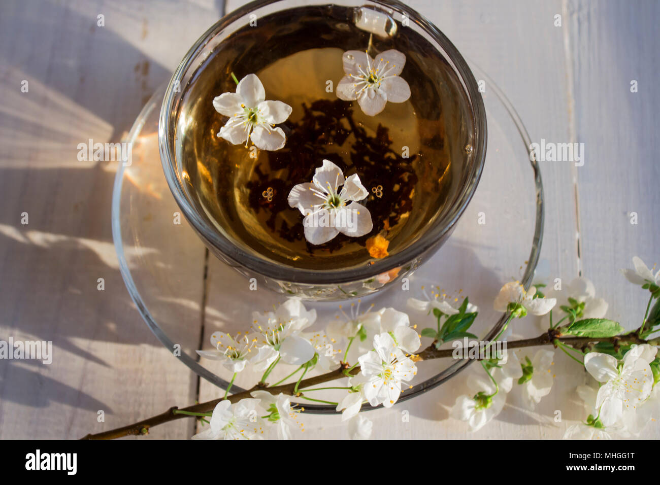 Spring flowers of blooming spring apple tree - natural spring flower background in vintage pastel tones. Cup of tea with spring landscape with spring Stock Photo