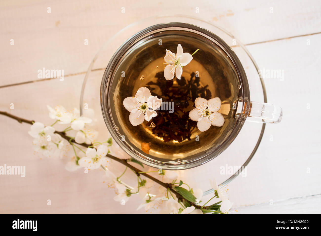 Spring flowers of blooming spring apple tree - natural spring flower background in vintage pastel tones. Cup of tea with spring landscape with spring Stock Photo