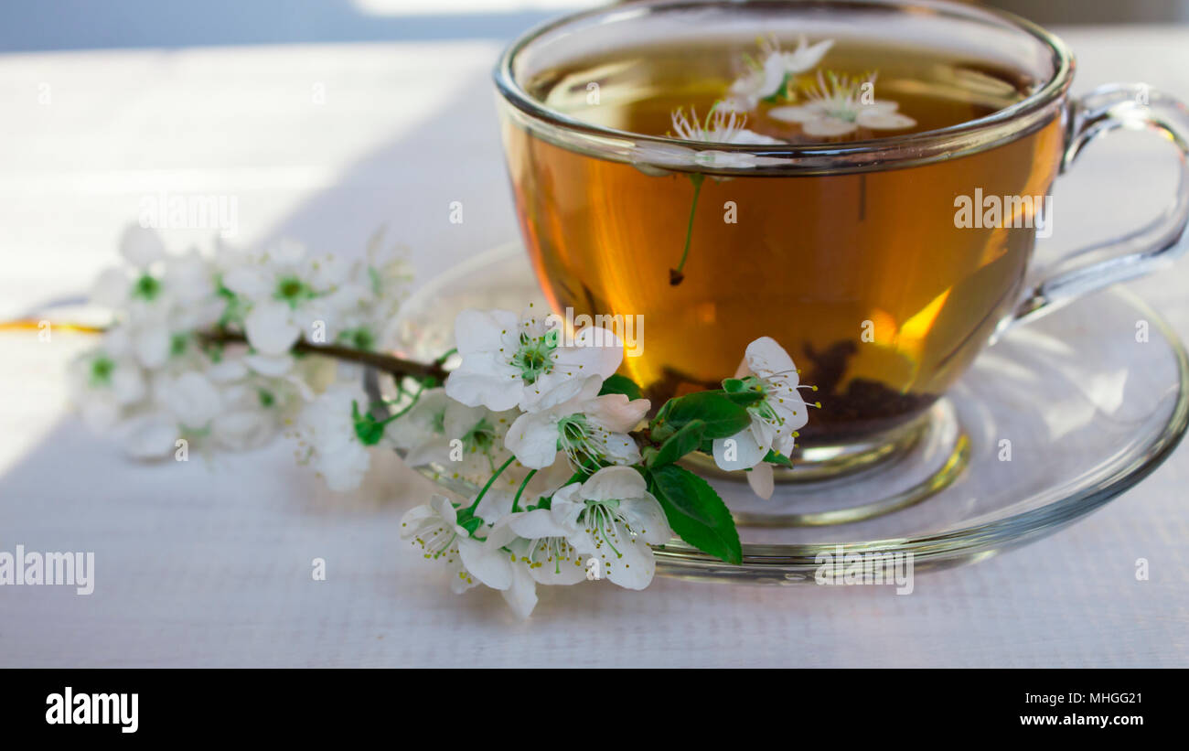 Spring flowers of blooming spring apple tree - natural spring flower background in vintage pastel tones. Cup of tea with spring landscape with spring Stock Photo