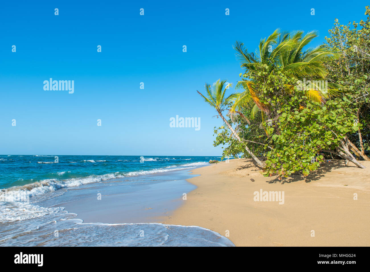 Punta Uva beach in Costa Rica, wild and beautiful caribbean coast Stock Photo