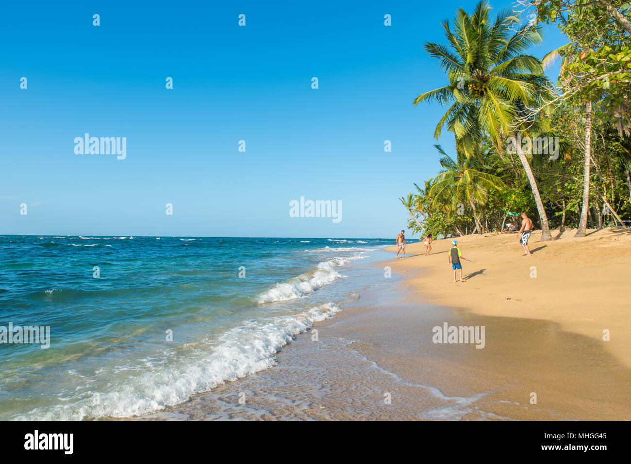 Punta Uva beach in Costa Rica, wild and beautiful caribbean coast Stock Photo