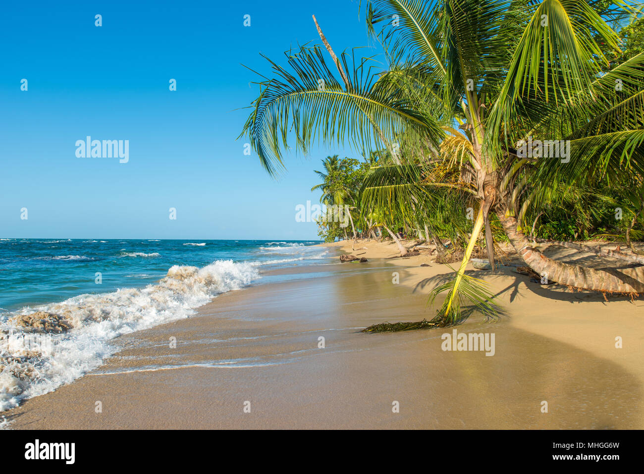 Punta Uva beach in Costa Rica, wild and beautiful caribbean coast Stock Photo