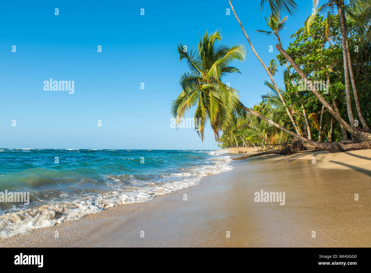 Punta Uva beach in Costa Rica, wild and beautiful caribbean coast Stock Photo