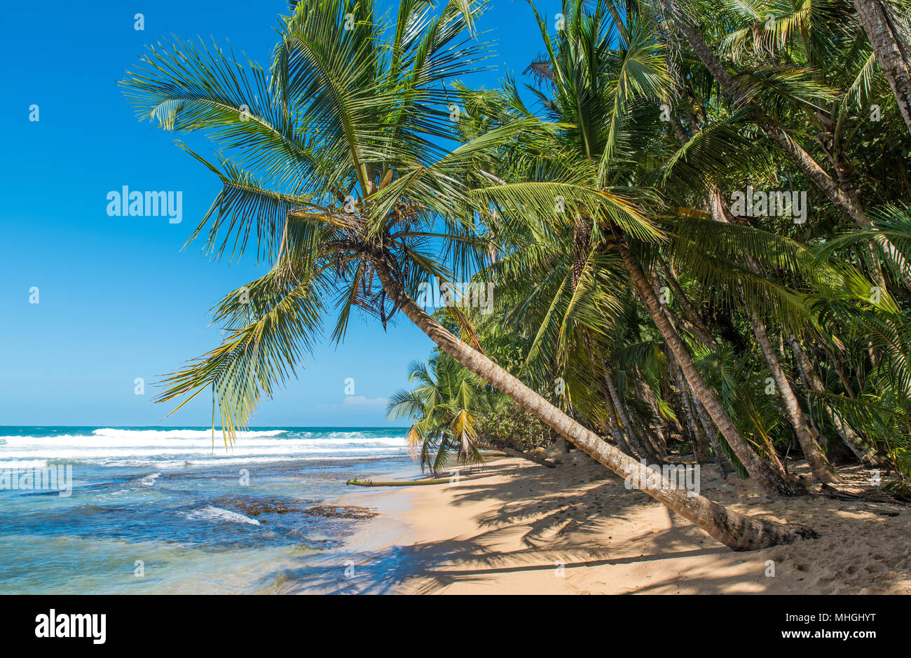 Paradise wild beach of Manzanillo Park in Costa Rica Stock Photo