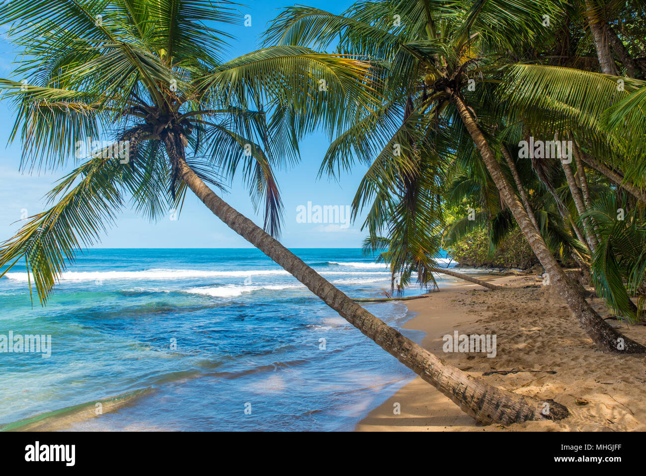 Paradise wild beach of Manzanillo Park in Costa Rica Stock Photo