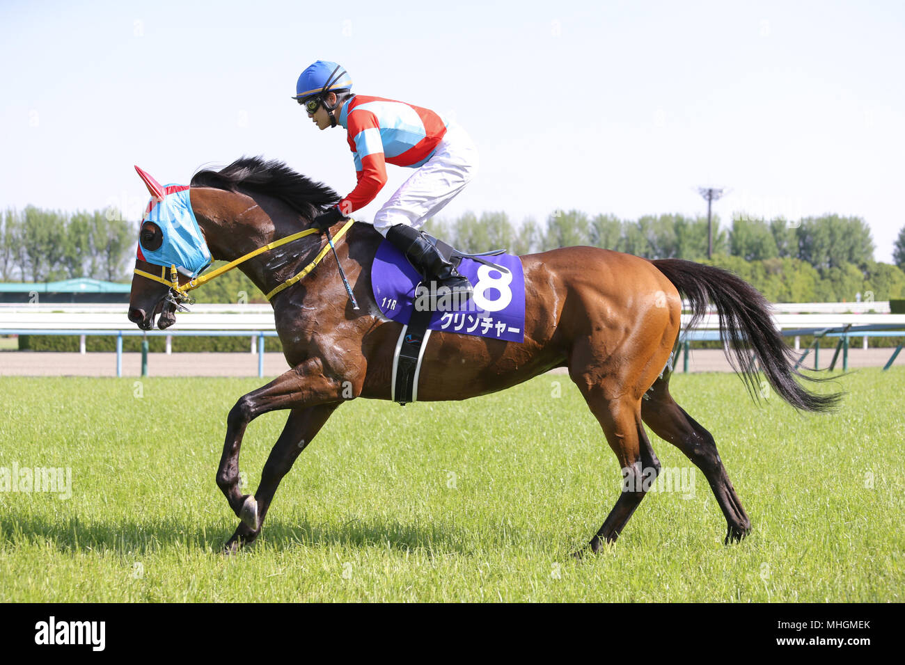 Kyoto, Japan. 29th Apr, 2018. Clincher (Kosei Miura) Horse Racing