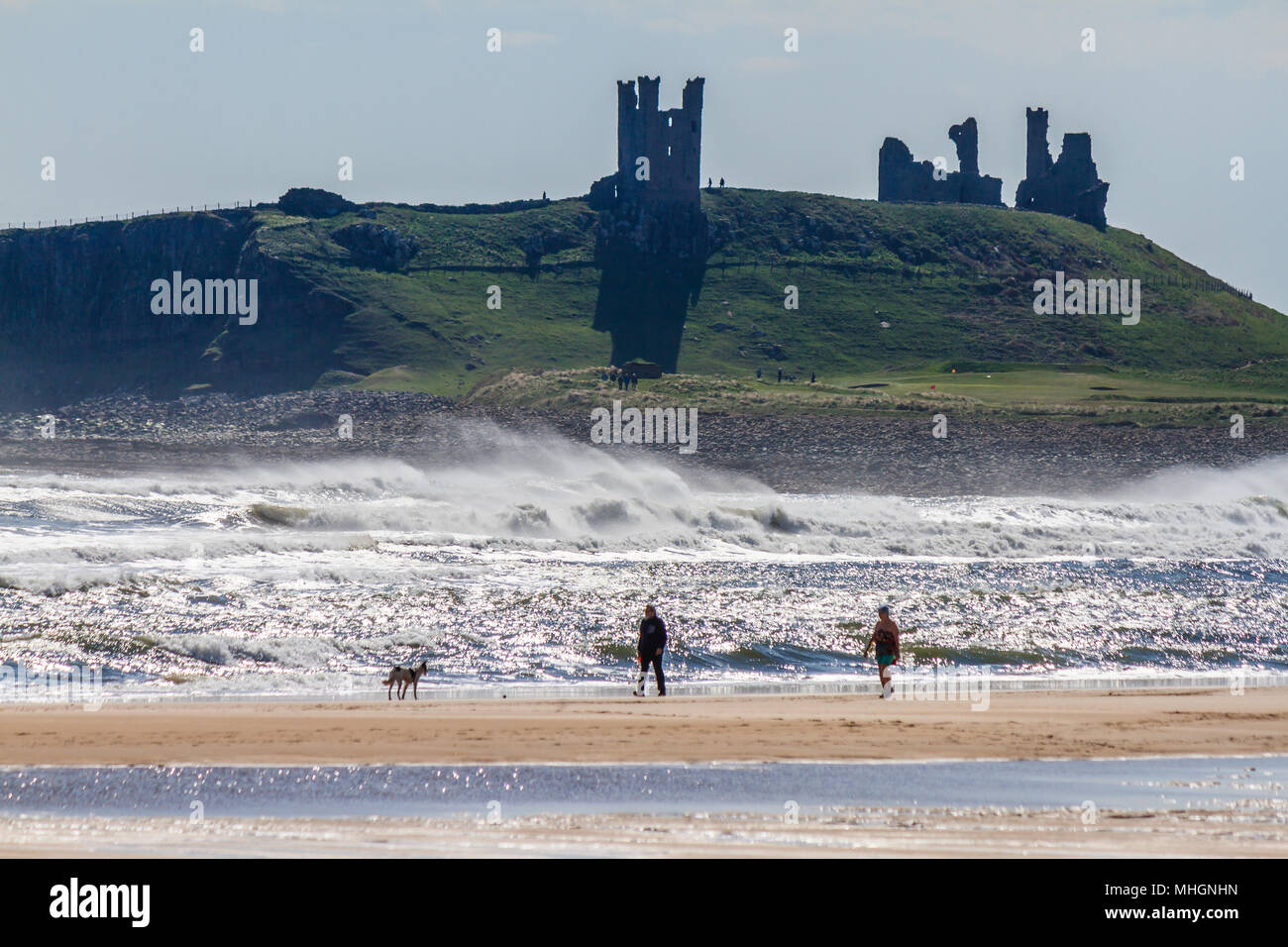 A couple and their dog on the beach beside Dunstanburgh Castle on a dramatic windswept day, Embleton Bay, Northumberland, UK. May 2018. Stock Photo