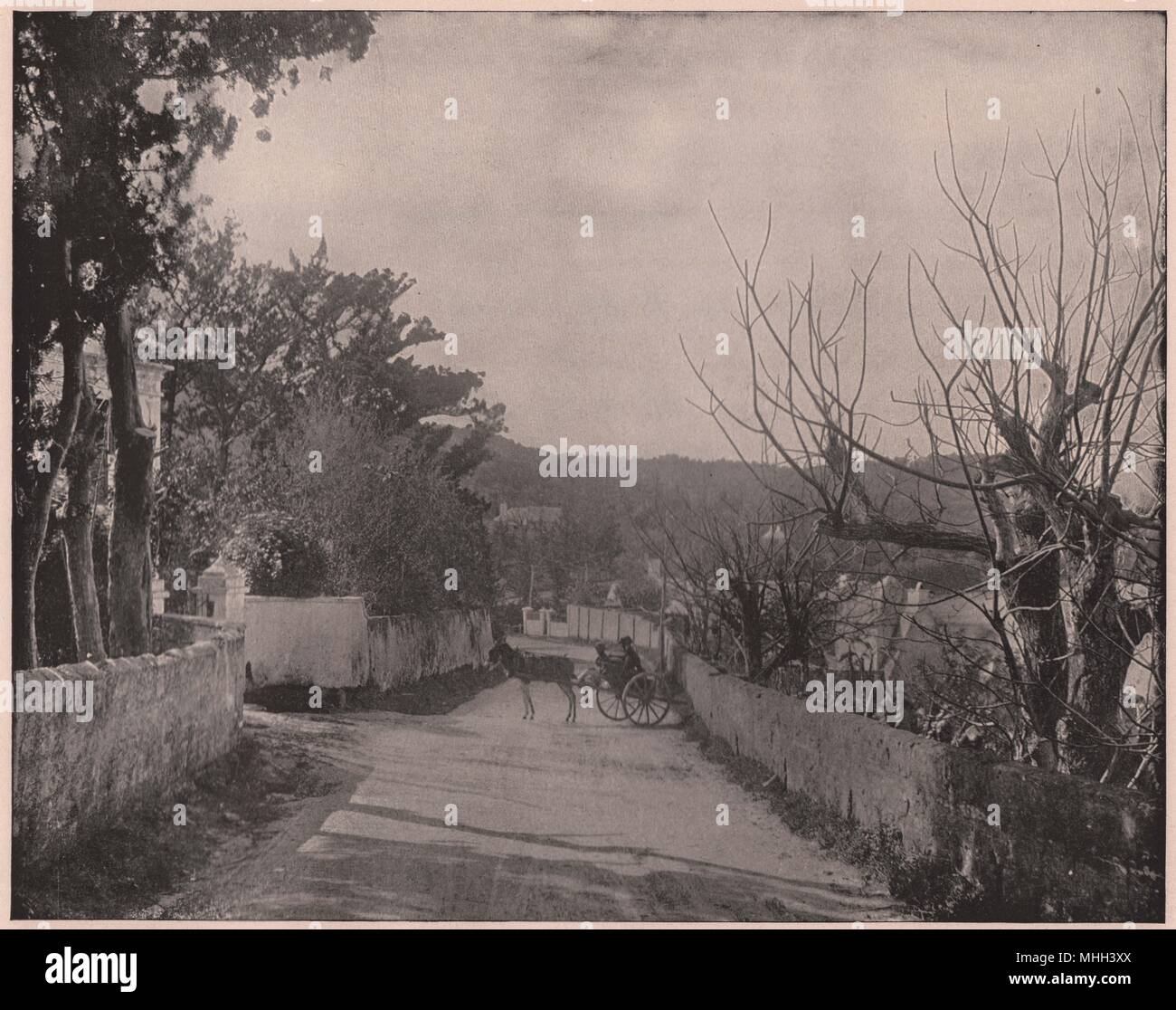 Road View in Port Royal, Bermuda Stock Photo Alamy