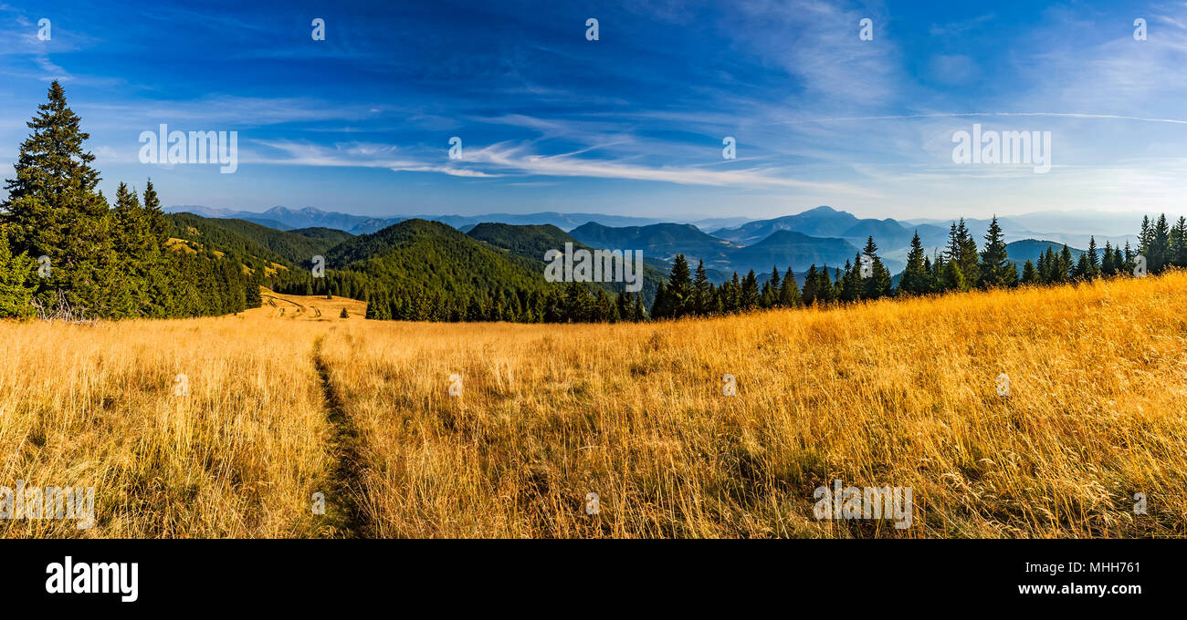 View of summer panorama landscape Slovak from mountains Big Fatra Stock Photo