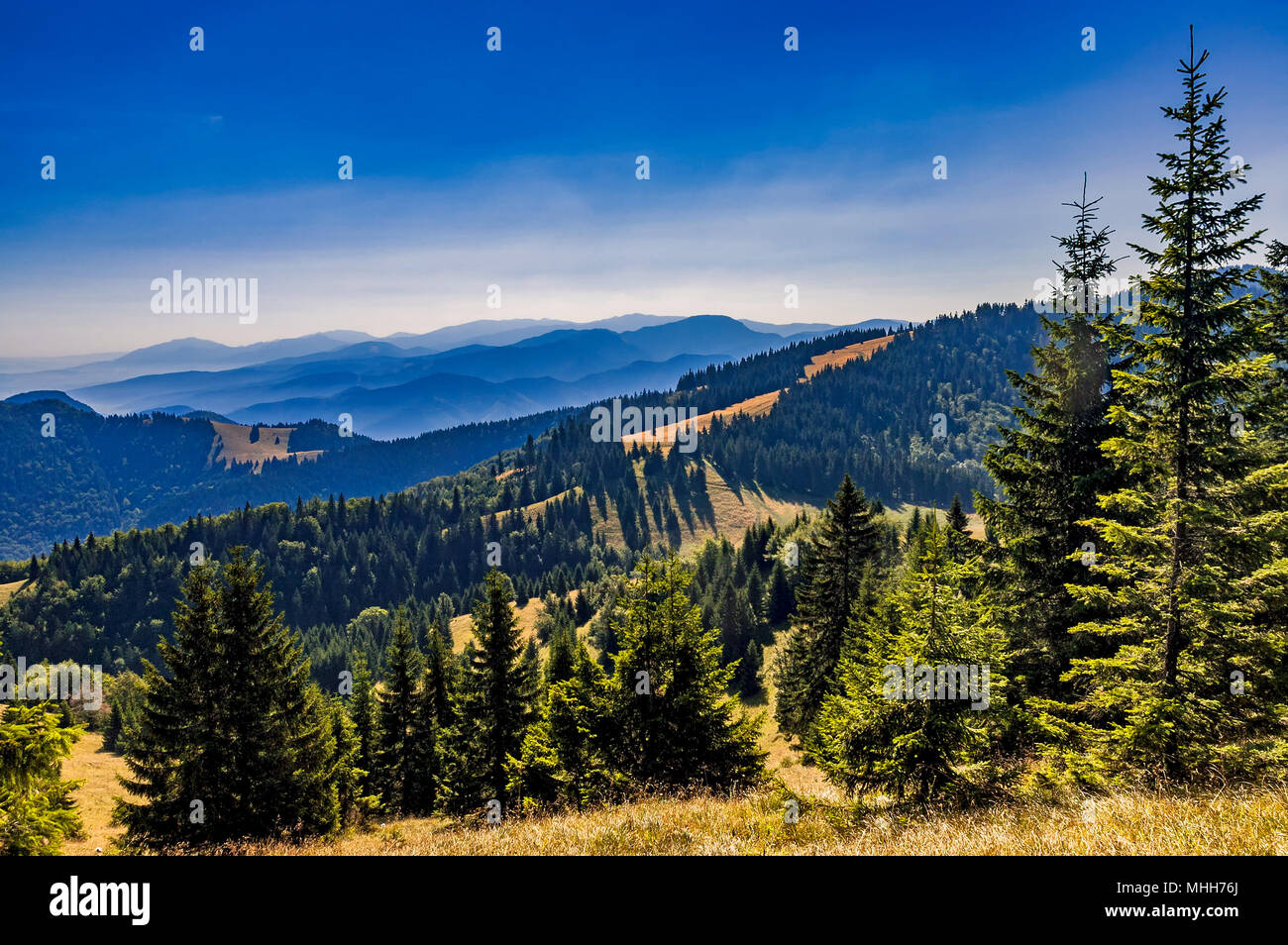 View of summer landscape Slovak from mountains Big Fatra Stock Photo