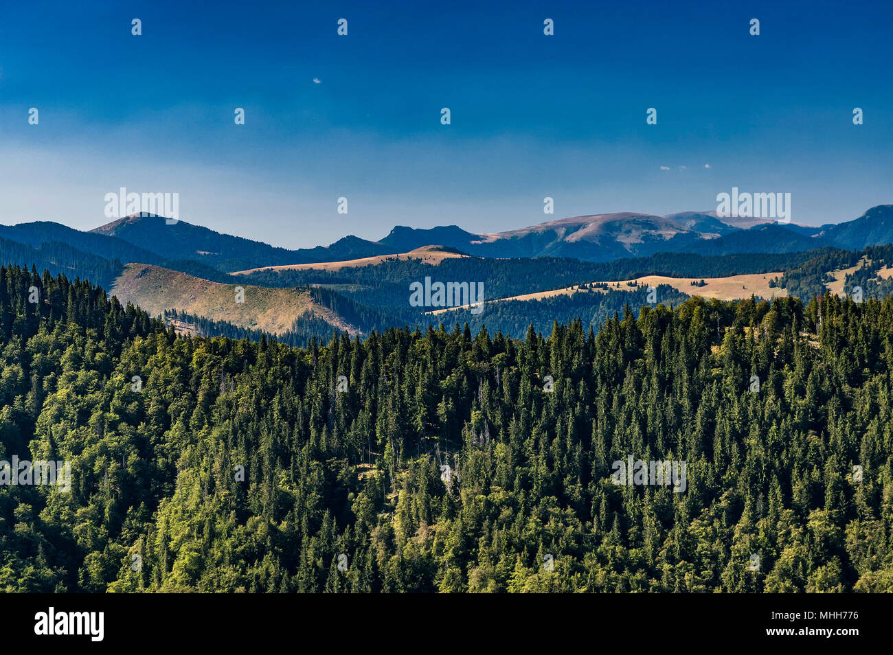 View of summer landscape Slovak mountains Big Fatra Stock Photo