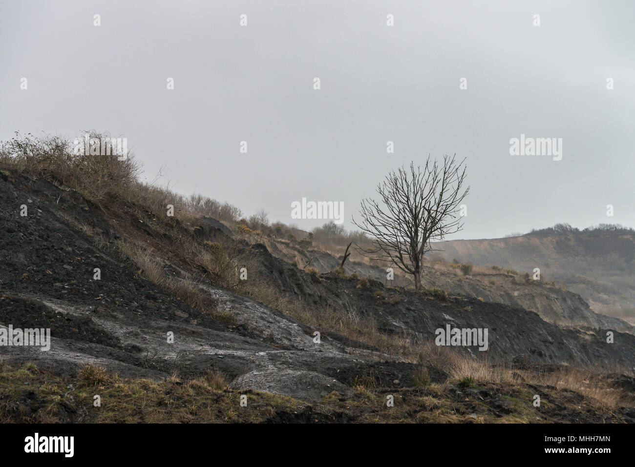 The cliffs at East Cliff Beach, Lyme Regis after a landslip Stock Photo