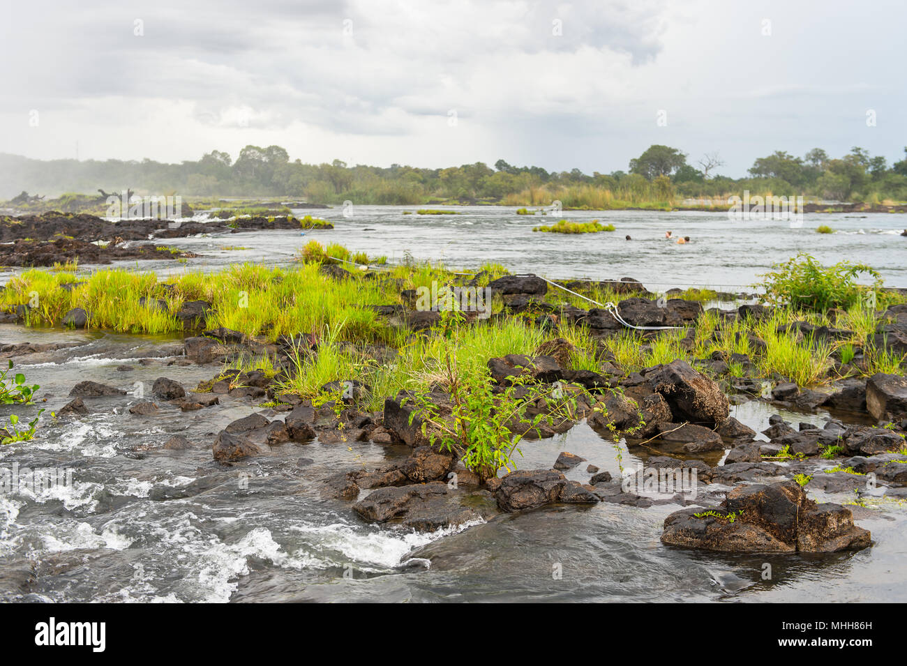 Nature of the Zambezi river and Livingstone Island, named after the Scottish  explorer David Livingstone Stock Photo