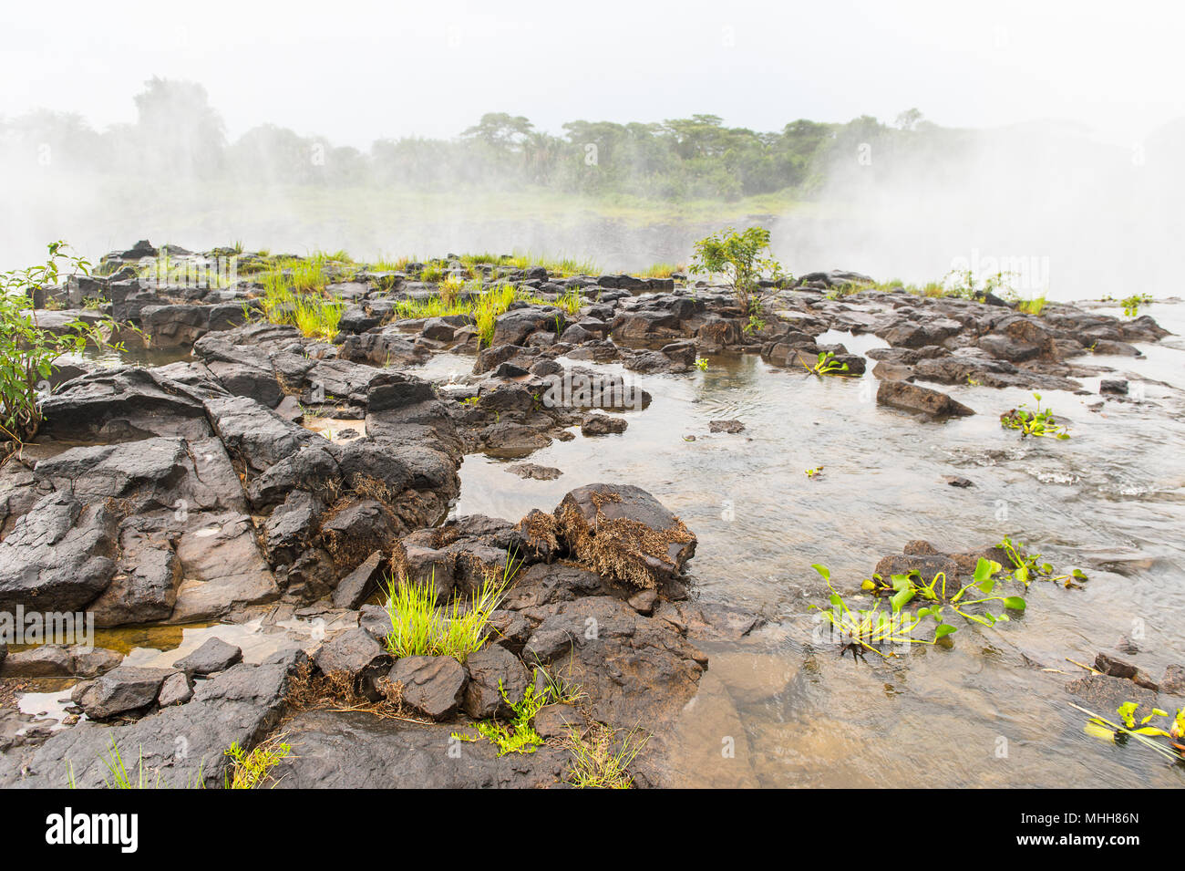 Nature of the Zambezi river and Livingstone Island, named after the Scottish  explorer David Livingstone Stock Photo