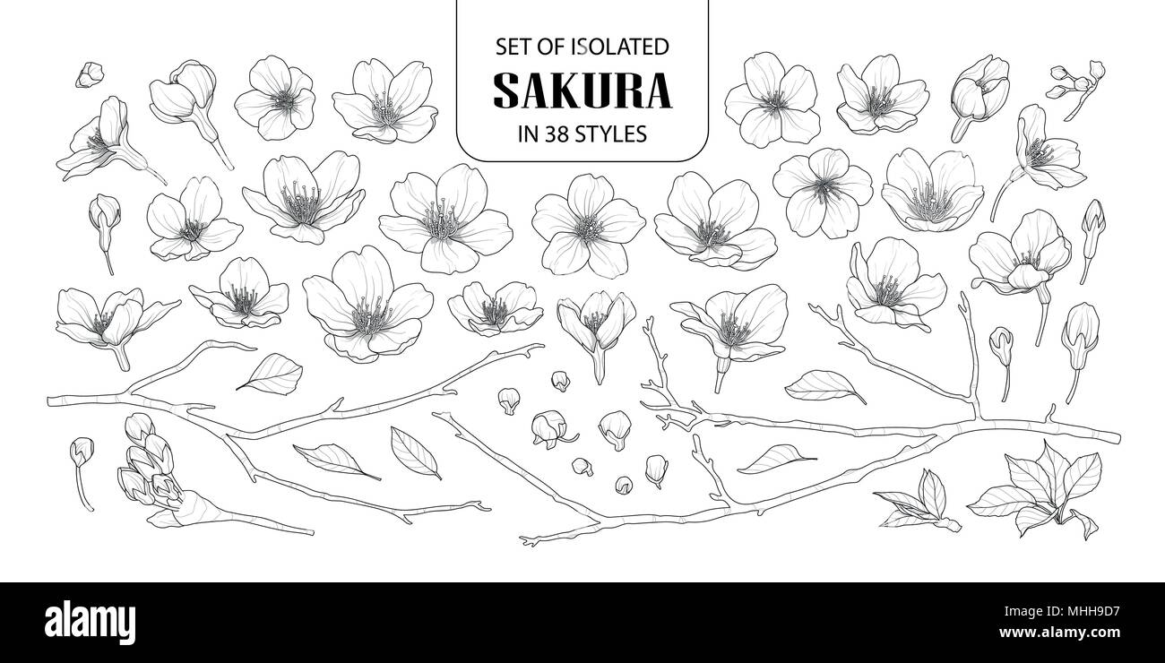 Set of isolated sakura in 38 styles. Cute hand drawn flower vector illustration in black outline and white plane on white background. Stock Vector