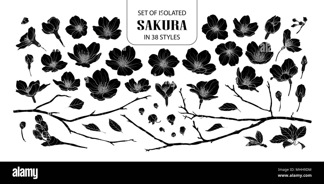 Set of isolated silhouette sakura in 38 styles. Cute hand drawn flower vector illustration in white outline and black plane on white background. Stock Vector