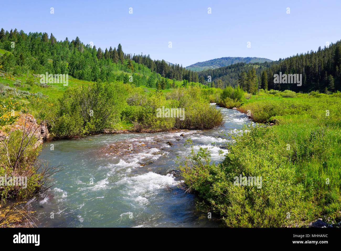 Countryside with a creek in Idaho State Stock Photo