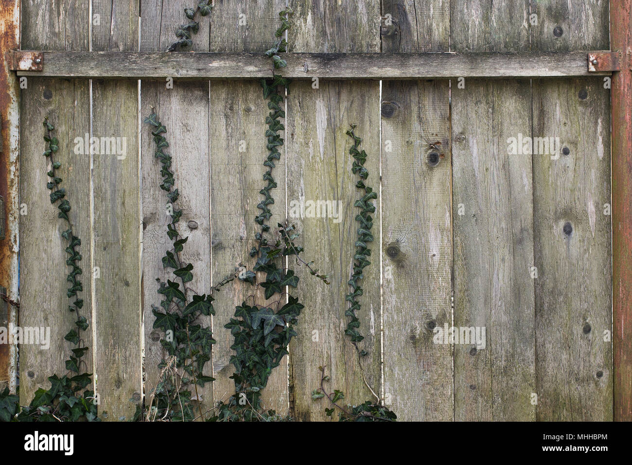 Weaving wooden fence hi-res stock photography and images - Alamy