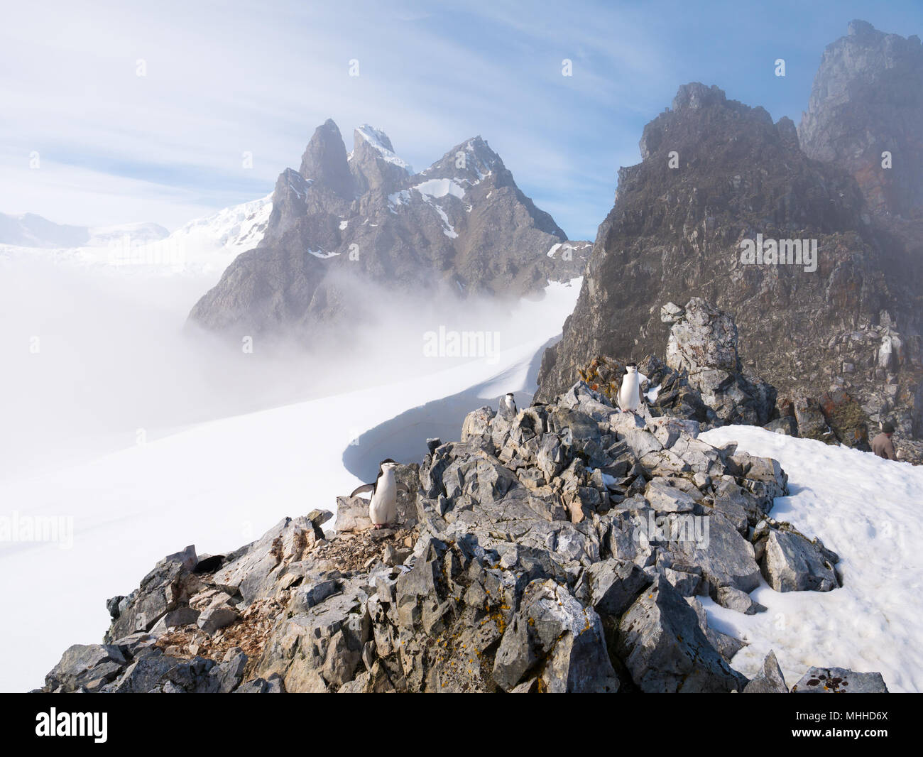 View of Orne Harbour glacier in mist from Spigot Peak, Antarctic Peninsula, Antarctica Stock Photo