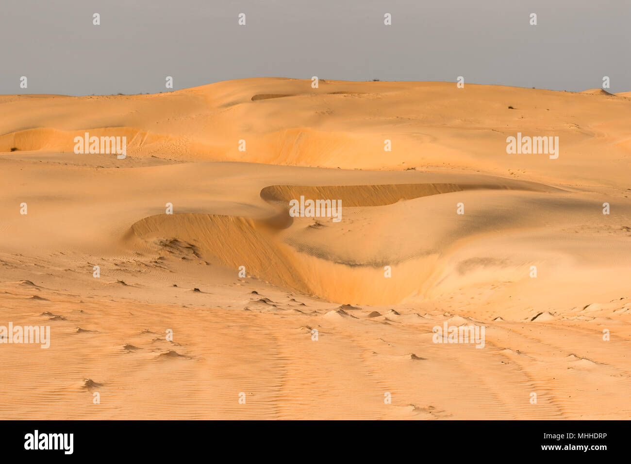Nature of Sahara desert in Senegal, Photo - Alamy
