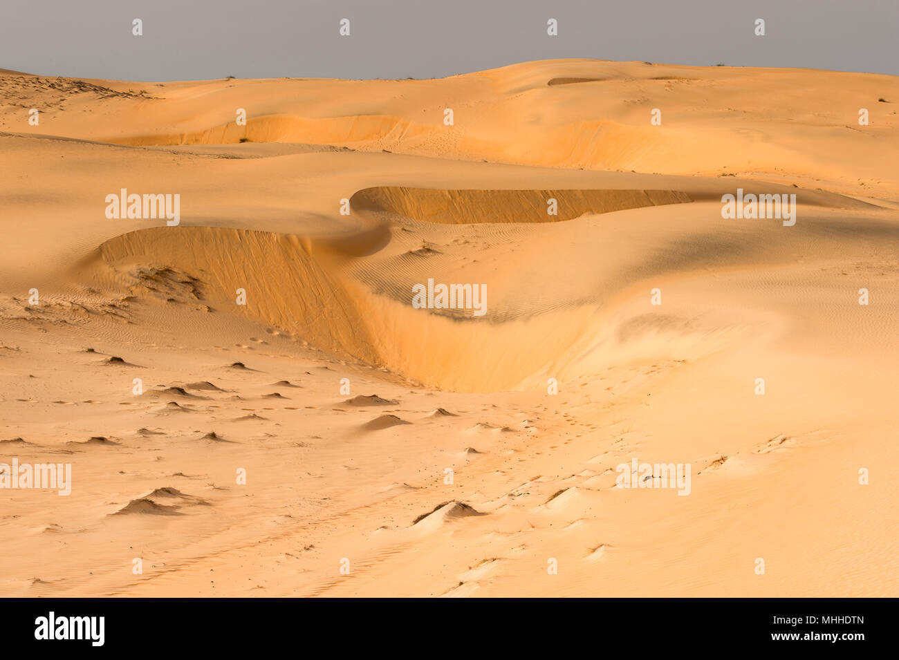 Nature of the desert in Senegal, Africa Stock Photo - Alamy