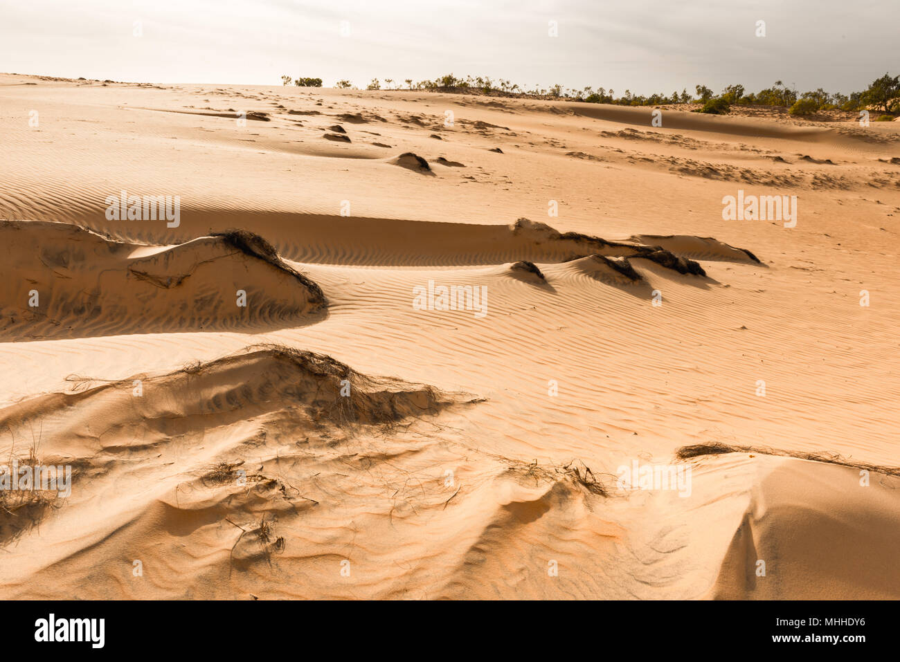 Nature of the Sahara desert in Senegal, Africa Stock Photo - Alamy