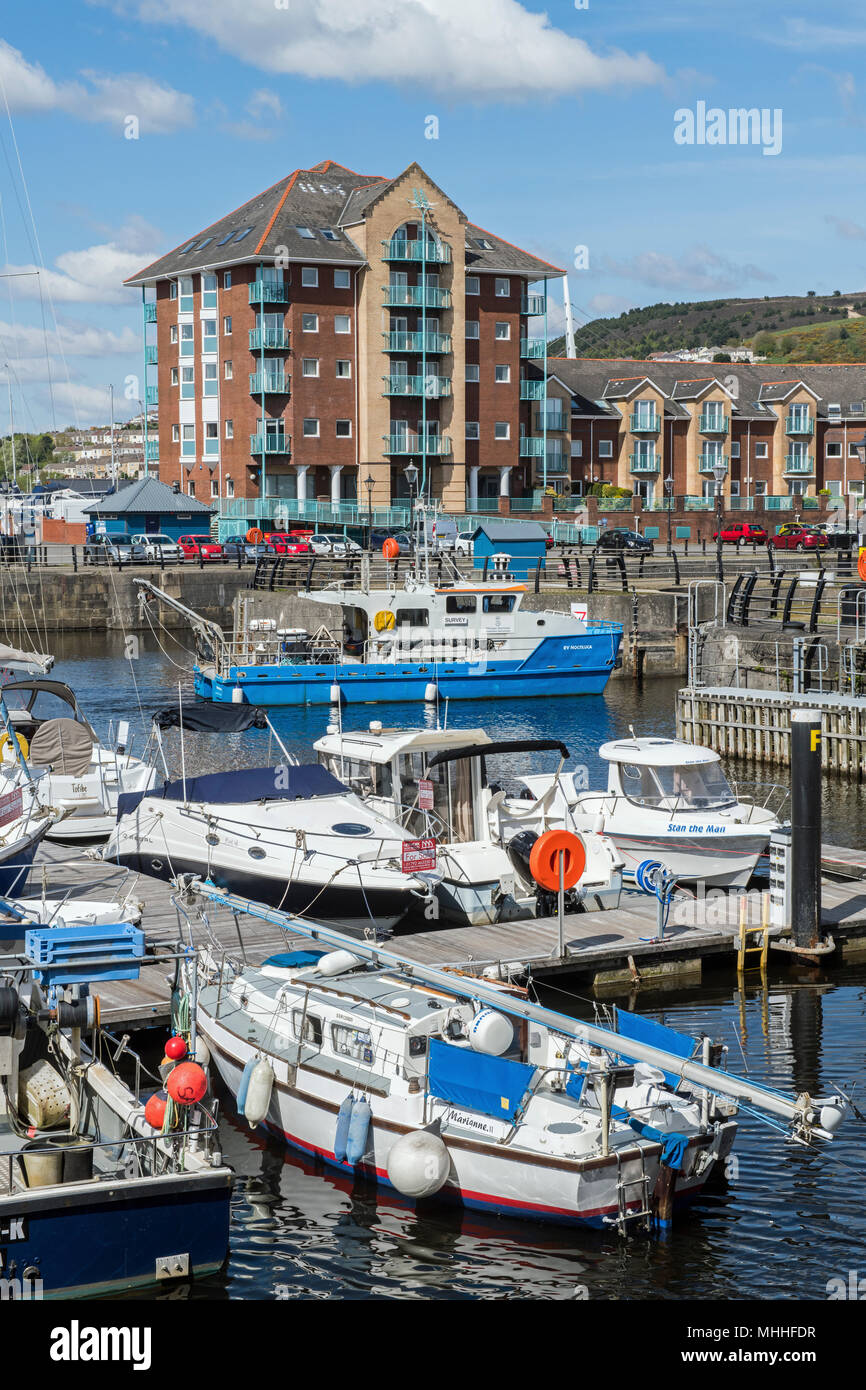 Swansea Marina Filled with Moored Boats, Swansea, South Wales Stock Photo