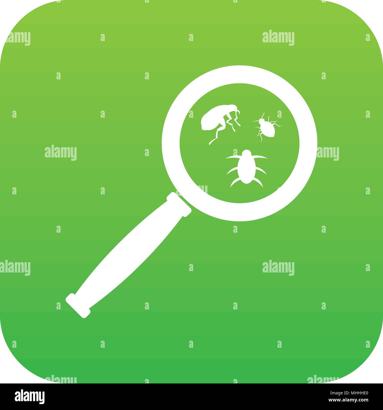 Metallic green insects Stock Vector Images Alamy