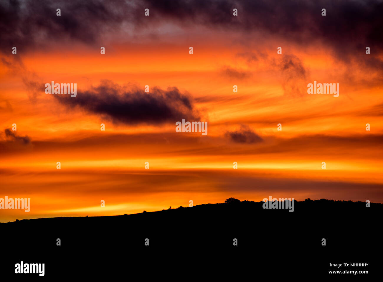 Golden sunset cloudy sky detail background Stock Photo - Alamy