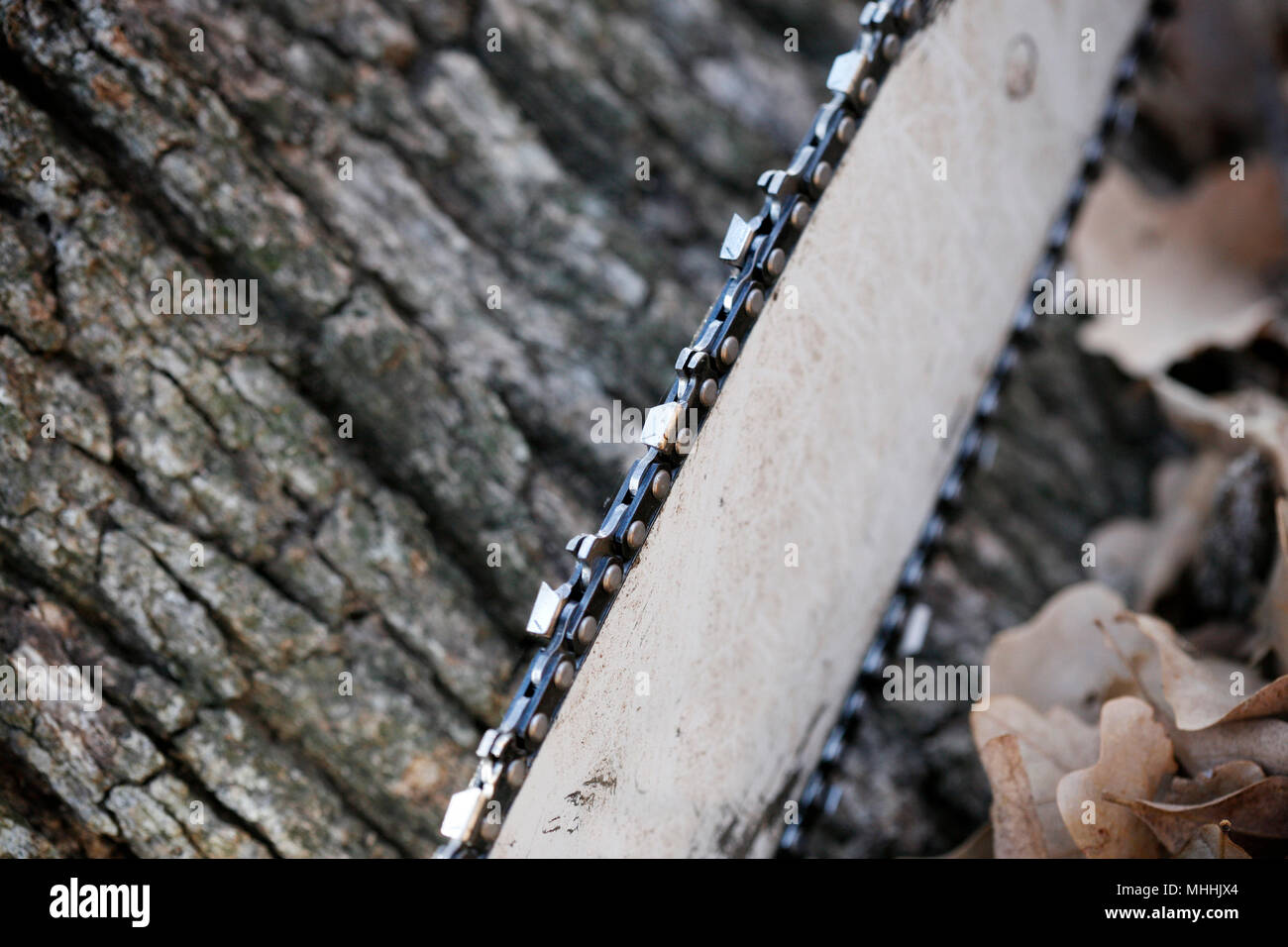 Tree trimmer close up chainsaw hi-res stock photography and images - Alamy