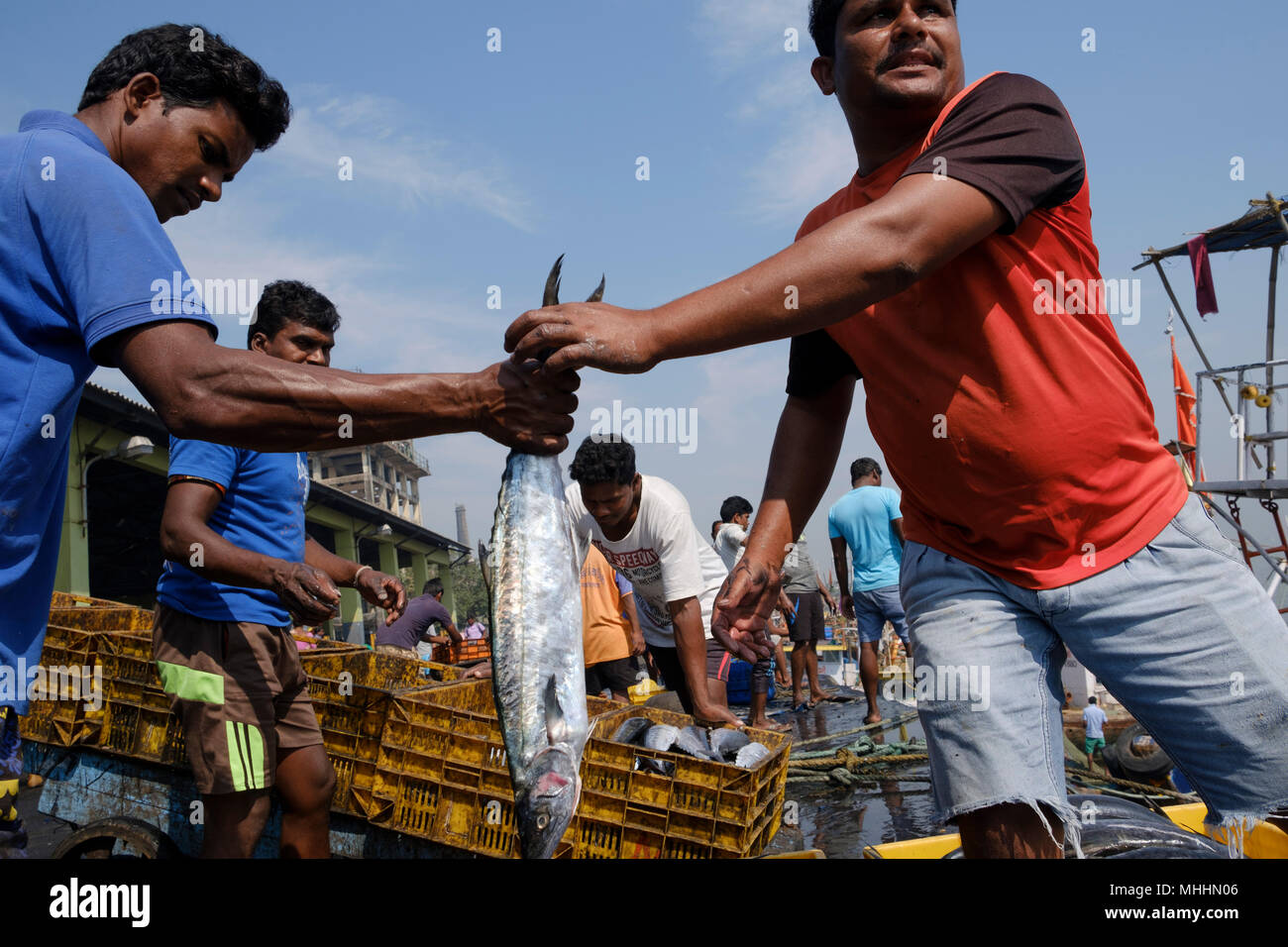 Largest fish market in india hi-res stock photography and images - Alamy