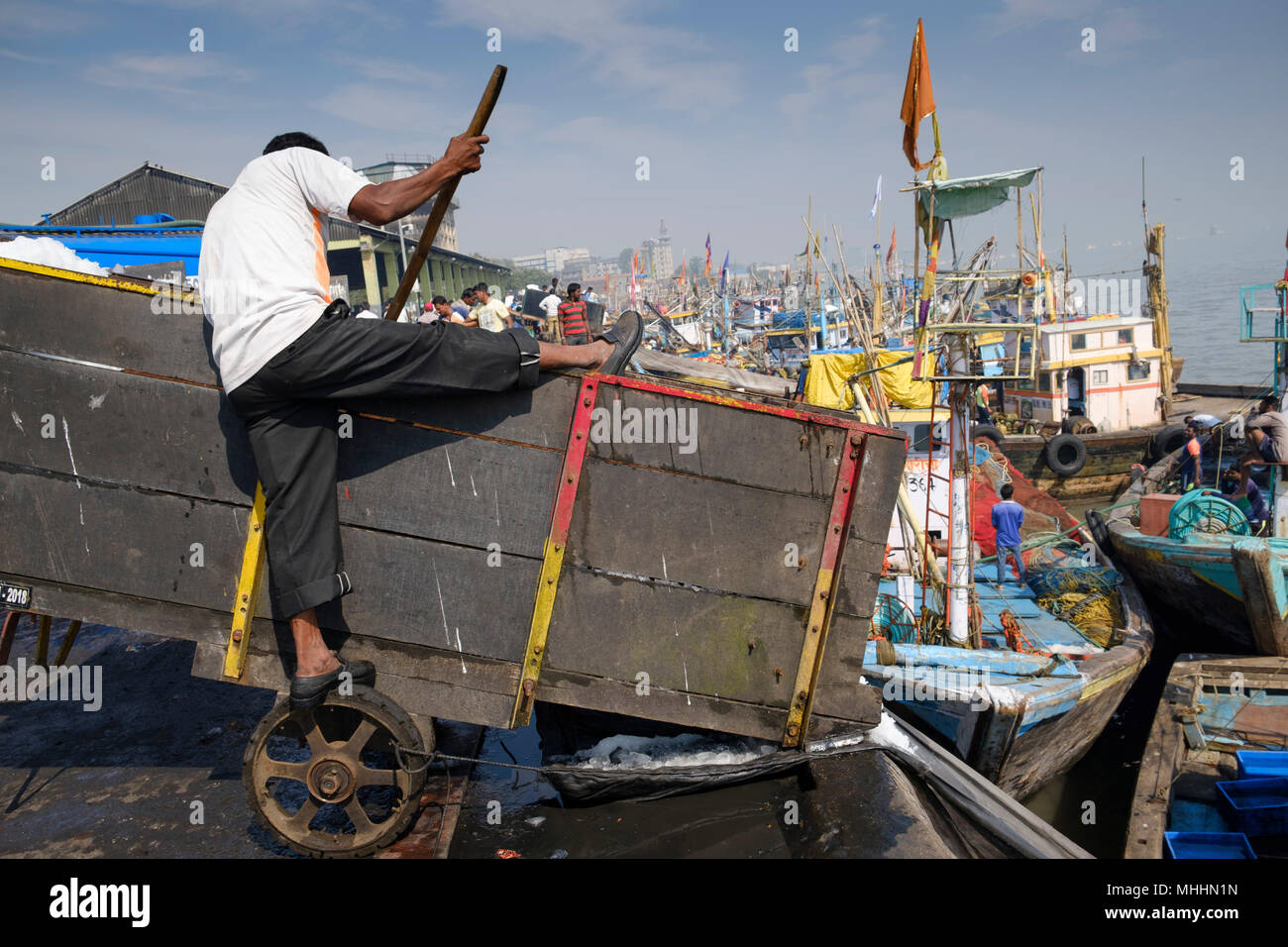 Largest fish market in india hi-res stock photography and images - Alamy
