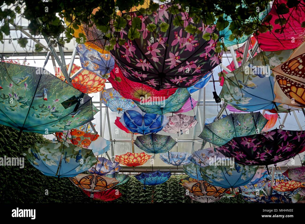 Colorful Umbrellas Hanging From The Ceiling Of A Structure With A